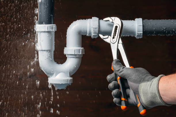 Professional Plumbing technician working in Wallington, NJ